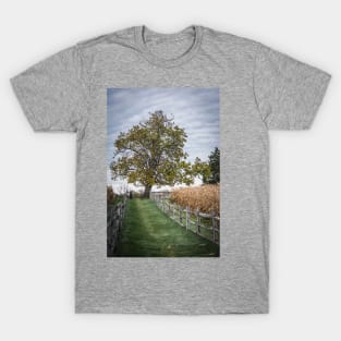 The Plot Thickens T-Shirt